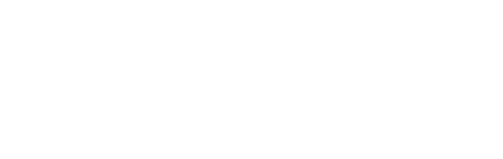 2008